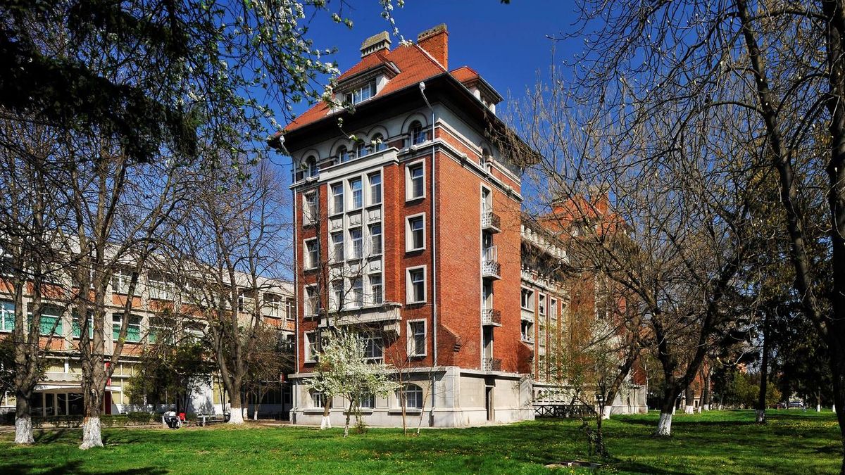 Cămine